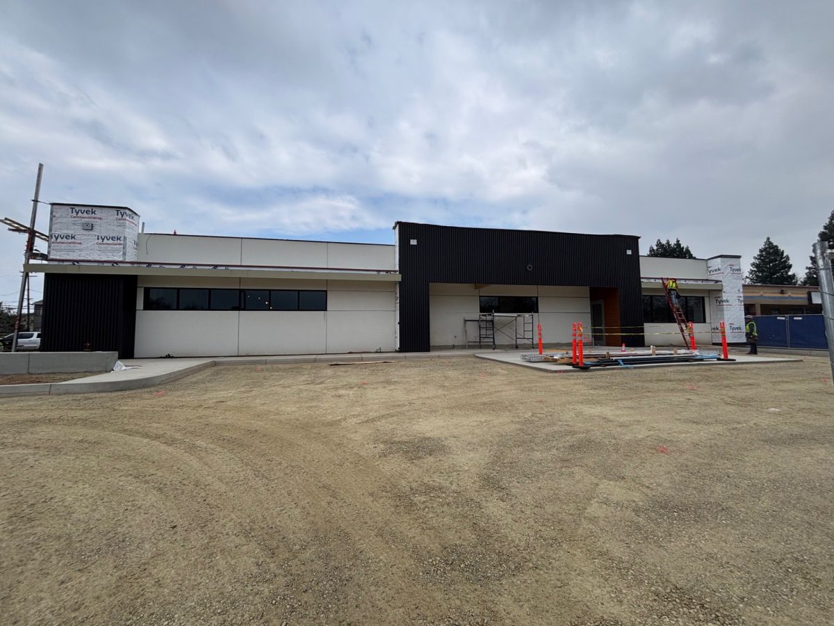 Construction Update: Big Progress Inside and Out!